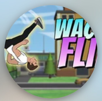 Similar Game: Wacky Flip